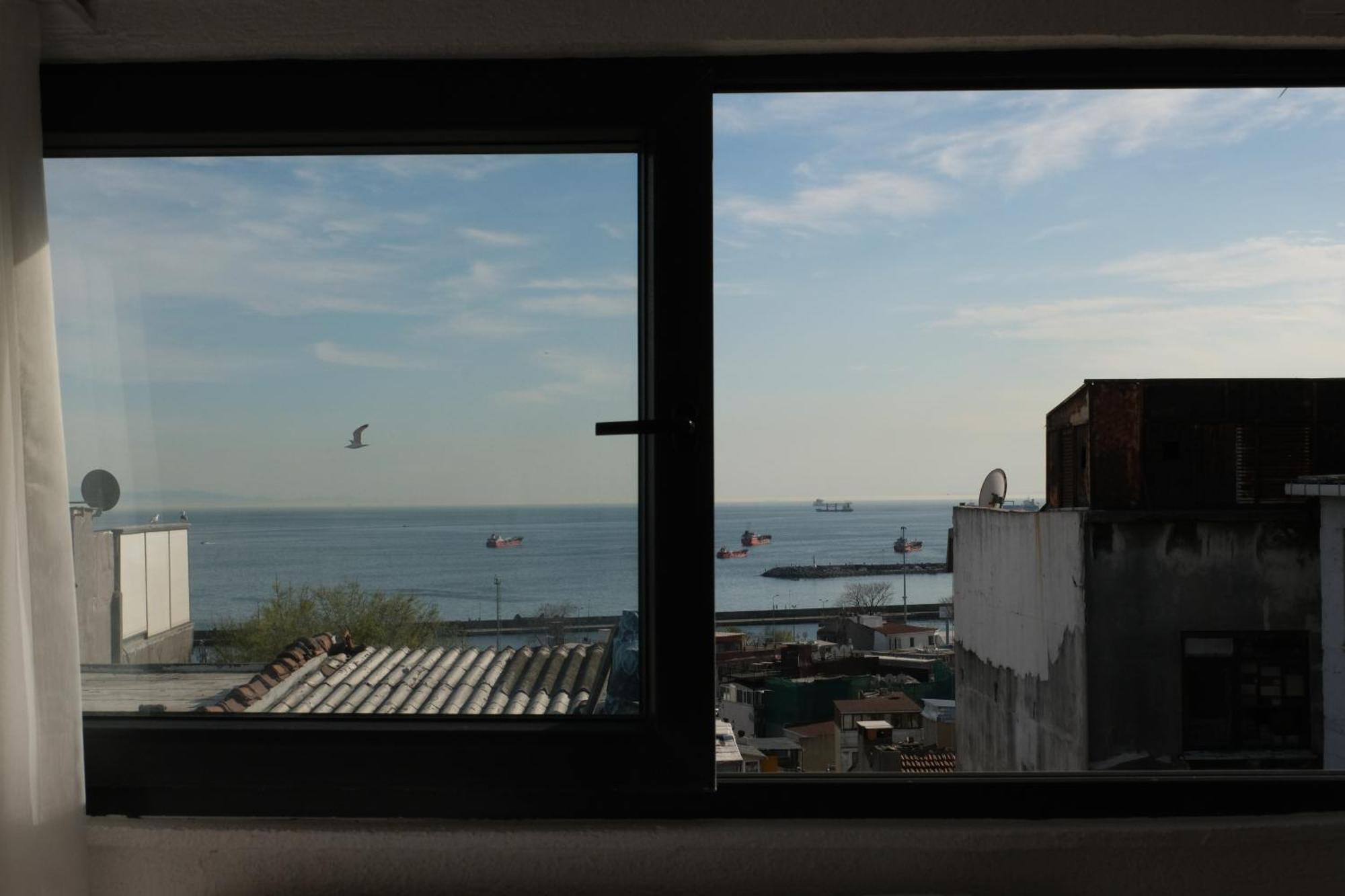 The Palm Suits - Istanbul — Photos 2
